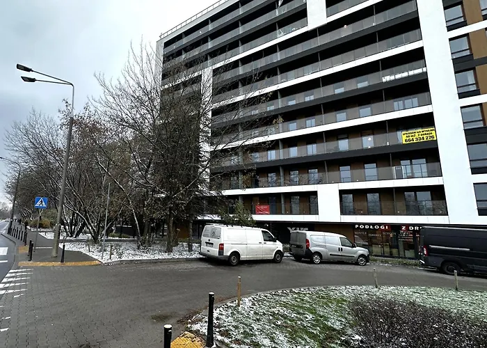 Lotnisko Chopina Airport 4 Varşova